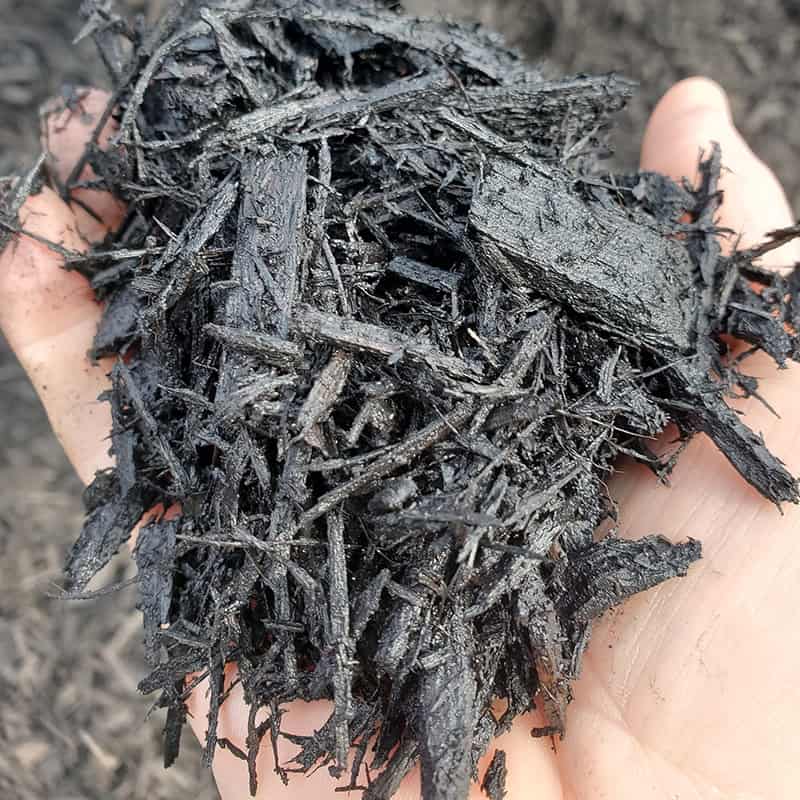 Black dye mulch