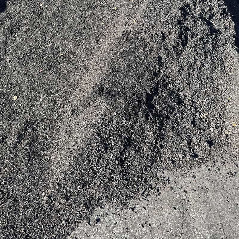 Black Forest Mulch